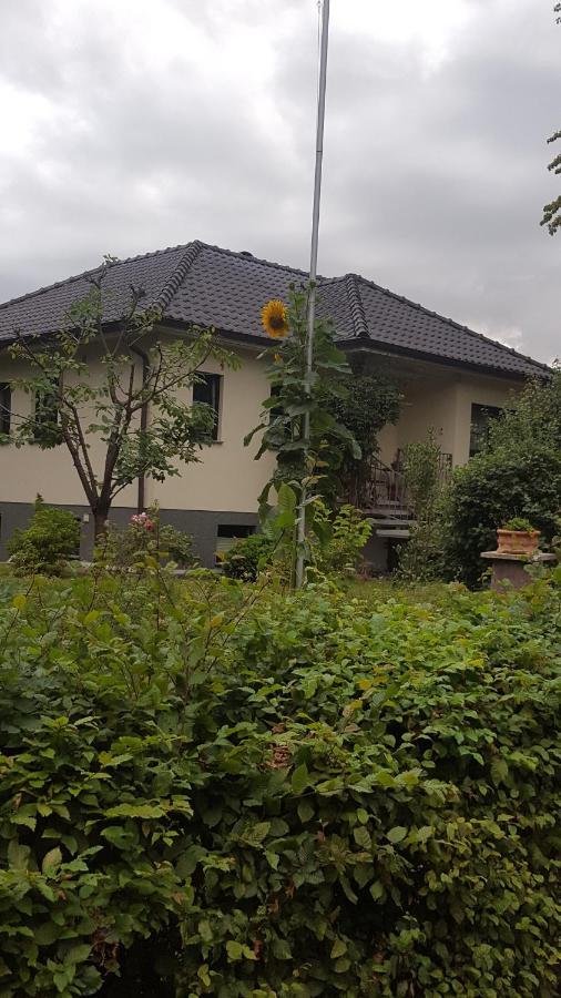 Ferienwohnung "Am Fechtertor- Eingang Zum Schlosspark" Putbus Eksteriør billede
